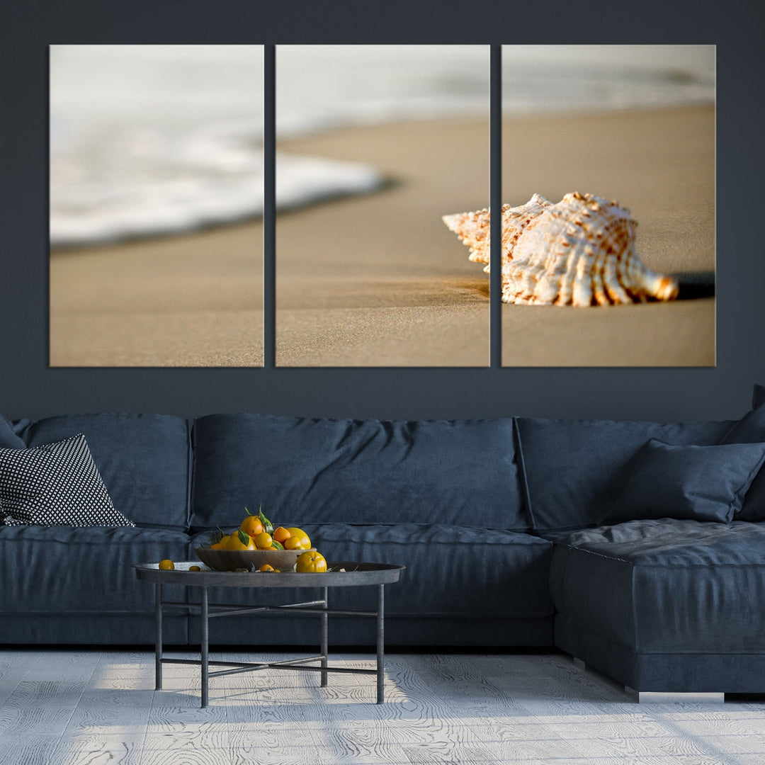 Sea Shell on the Beach Framed Canvas Wall Art Print Coastal Tropical Artwork