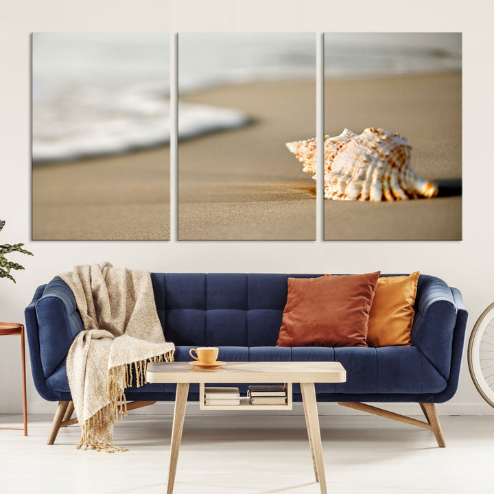 Sea Shell on the Beach Framed Canvas Wall Art Print Coastal Tropical Artwork