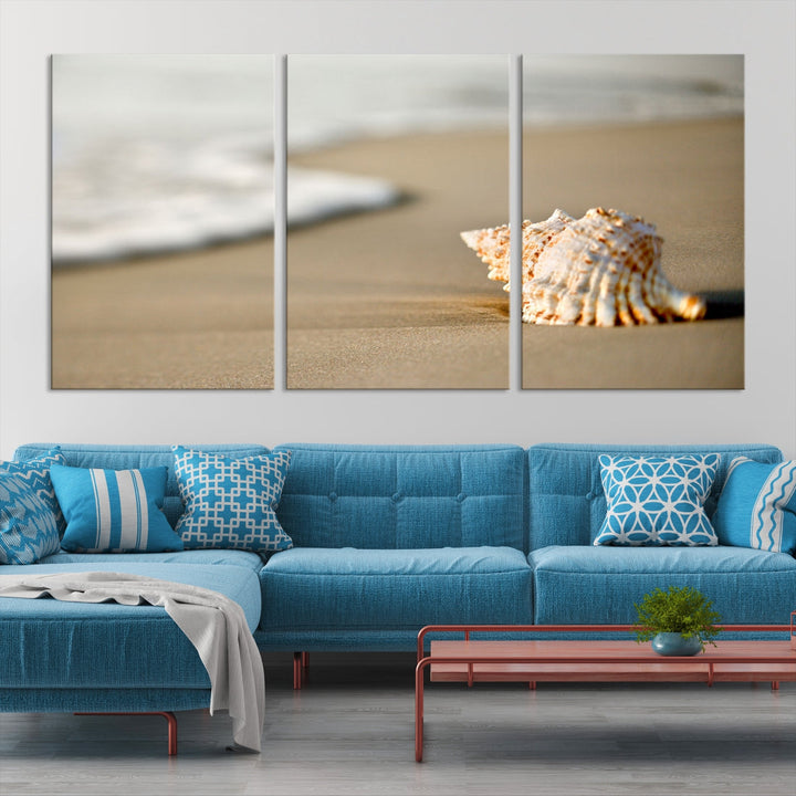 Sea Shell on the Beach Framed Canvas Wall Art Print Coastal Tropical Artwork