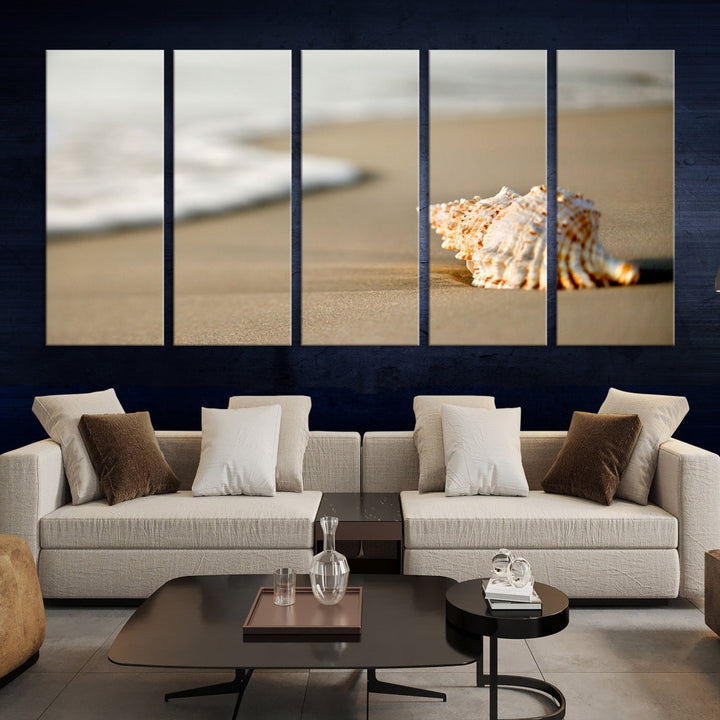 Sea Shell on the Beach Framed Canvas Wall Art Print Coastal Tropical Artwork