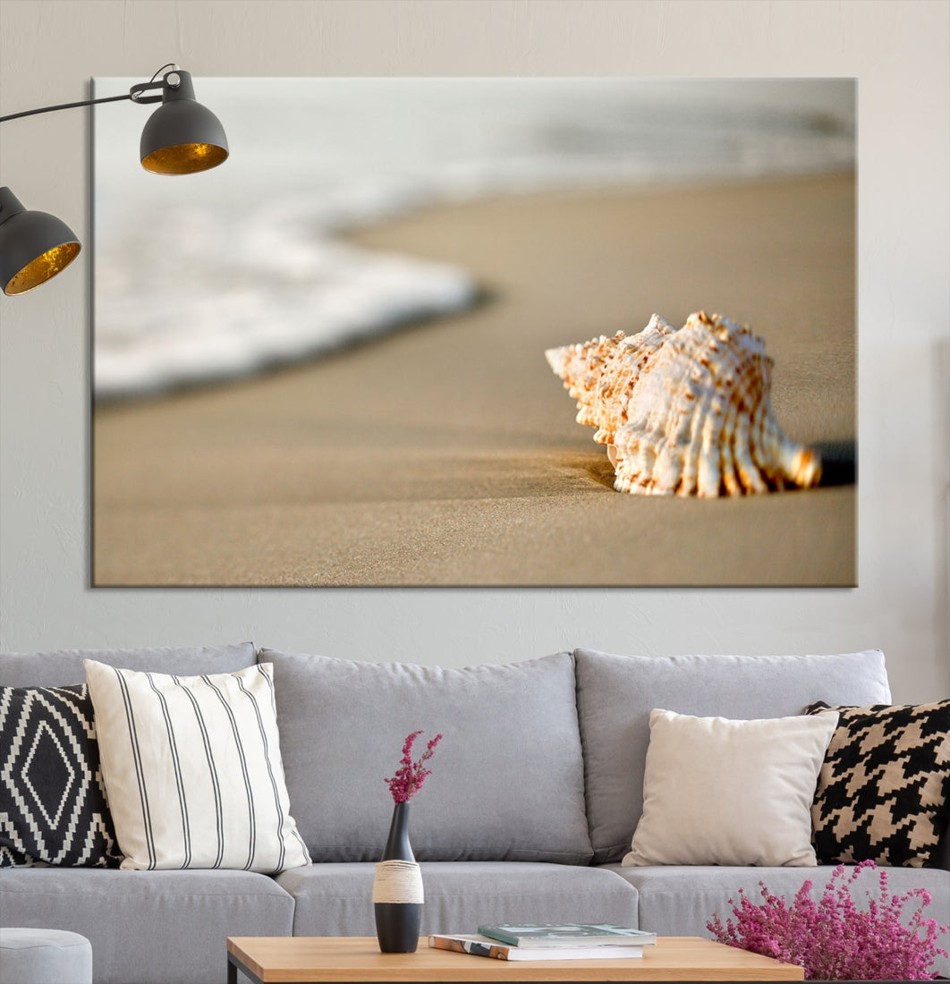 Sea Shell on the Beach Framed Canvas Wall Art Print Coastal Tropical Artwork