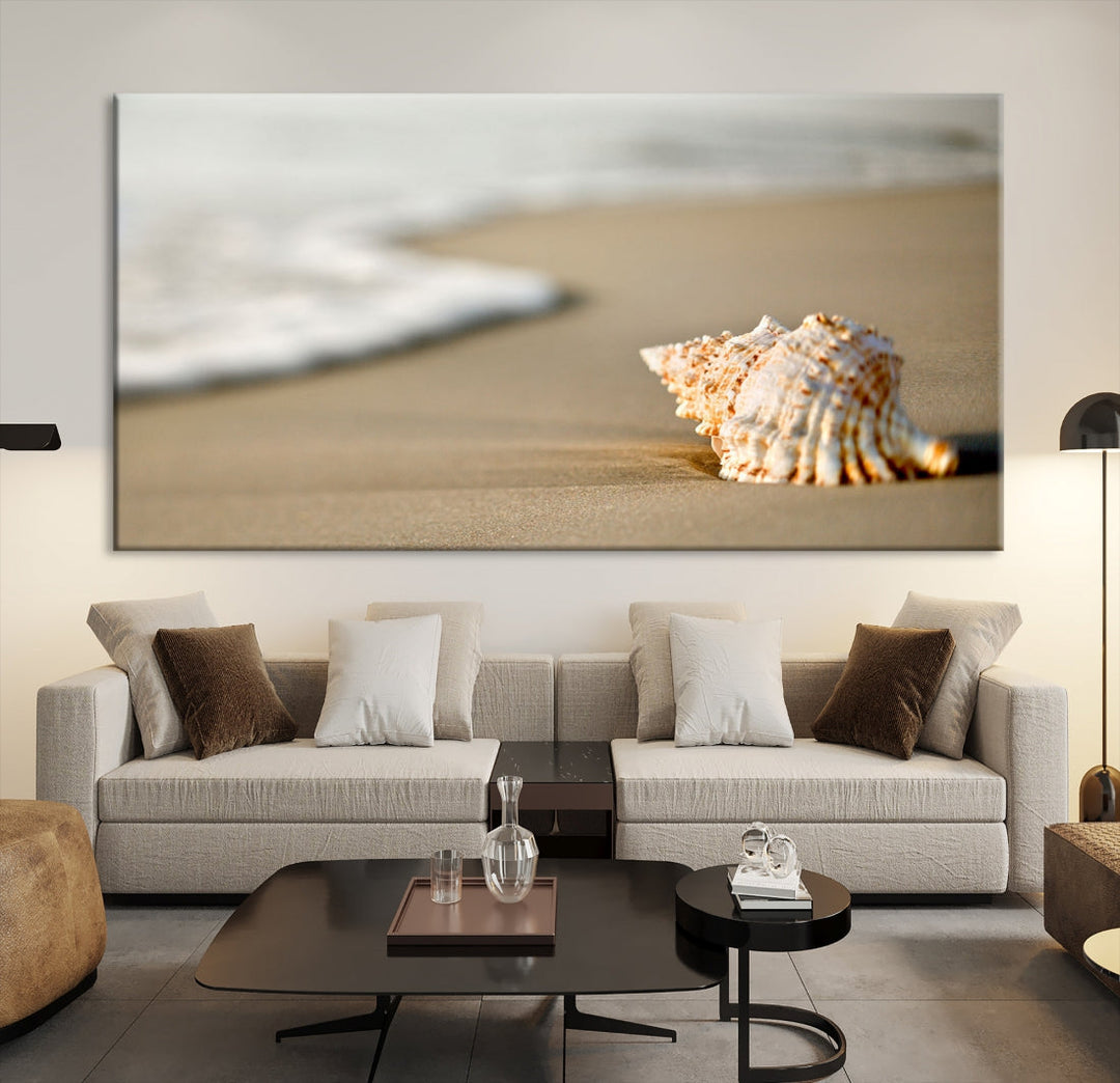 Sea Shell on the Beach Framed Canvas Wall Art Print Coastal Tropical Artwork