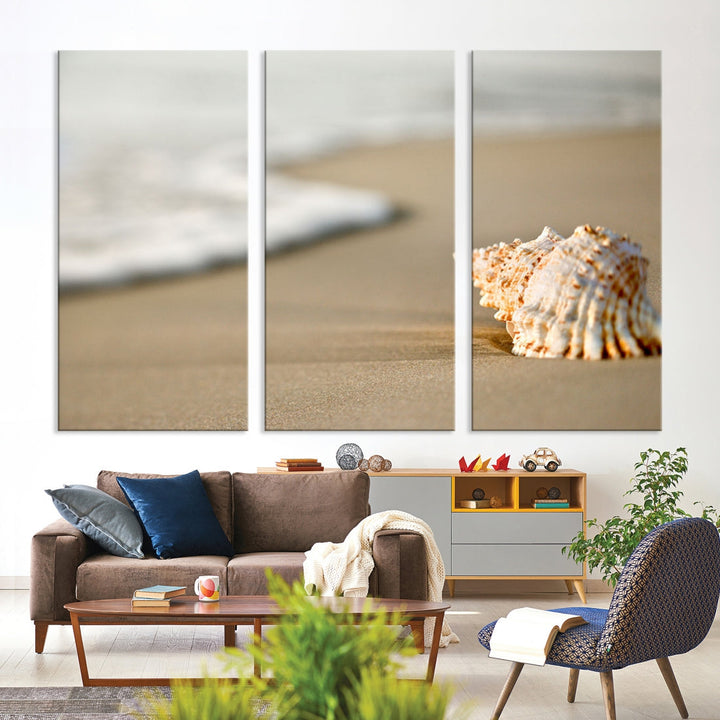 Sea Shell on the Beach Framed Canvas Wall Art Print Coastal Tropical Artwork