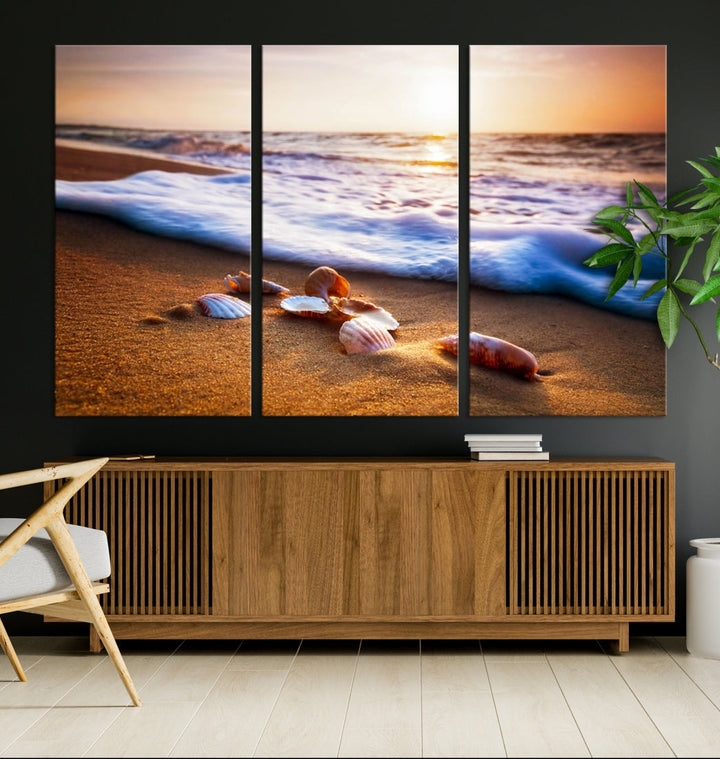 Sea Shell Sandy Ocean Beach Canvas Wall Art Print Framed Ready to Hang