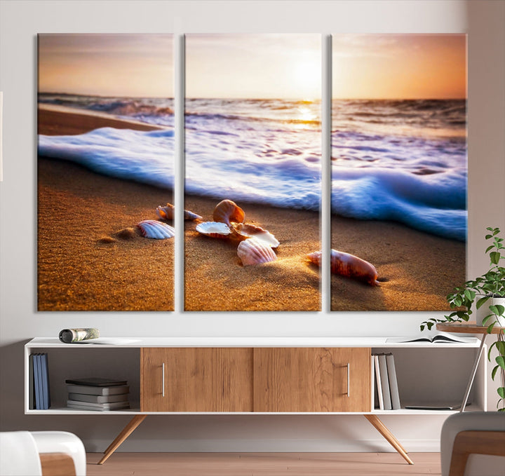 Sea Shell Sandy Ocean Beach Canvas Wall Art Print Framed Ready to Hang