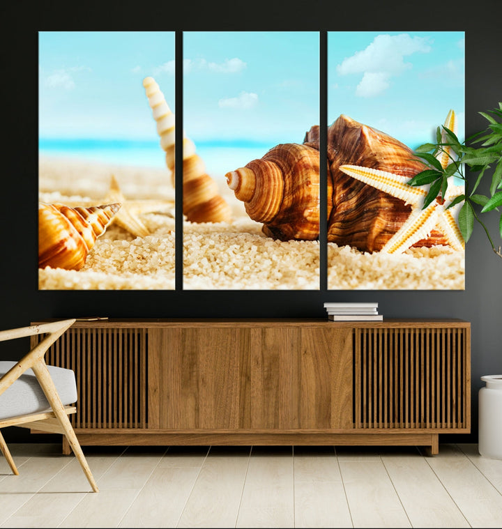 Sea Shells by the Beach Canvas Wall Art Print Framed Nautical Art Wall Decor