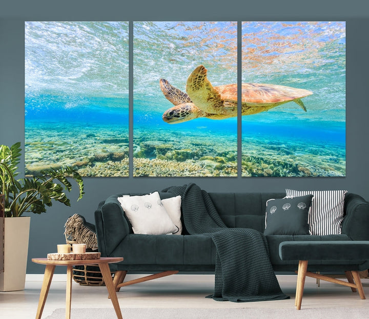 Sea Turtle Canvas Wall Art Print Framed Wall Decor Ocean Animal Panel Decor