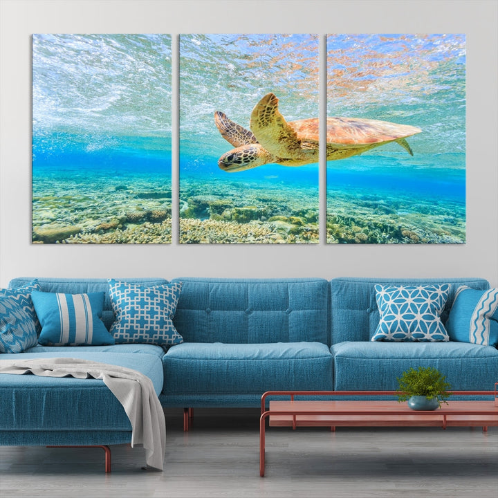 Sea Turtle Canvas Wall Art Print Framed Wall Decor Ocean Animal Panel Decor