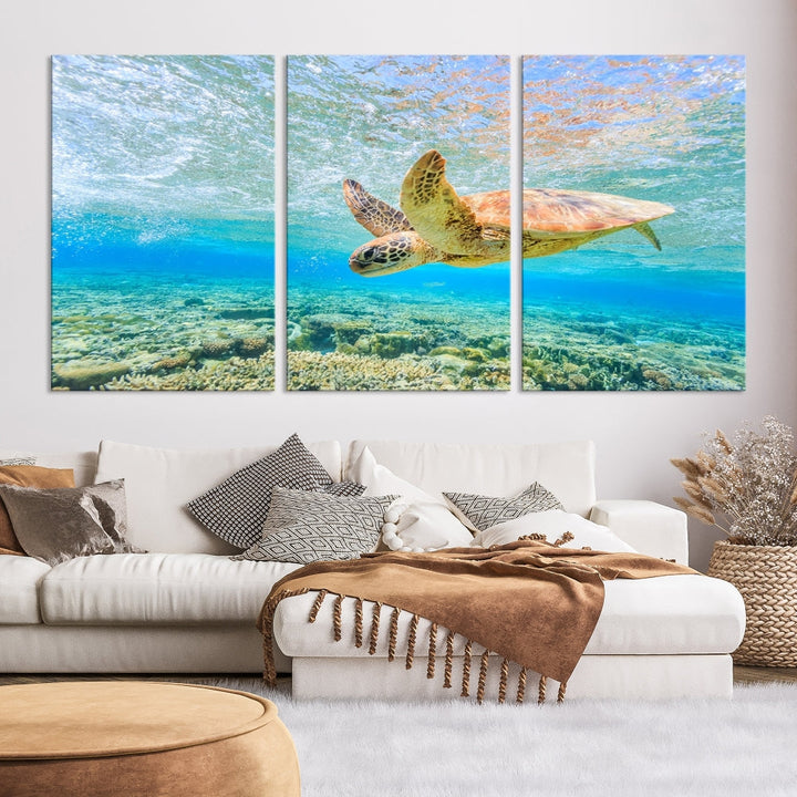 Sea Turtle Canvas Wall Art Print Framed Wall Decor Ocean Animal Panel Decor