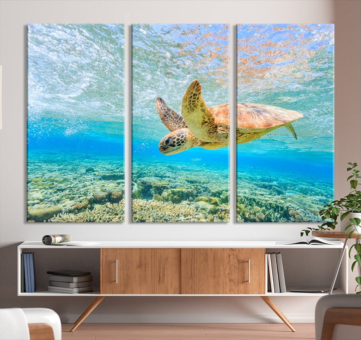 Sea Turtle Canvas Wall Art Print Framed Wall Decor Ocean Animal Panel Decor