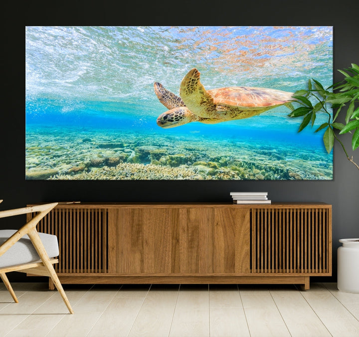 Sea Turtle Canvas Wall Art Print Framed Wall Decor Ocean Animal Panel Decor