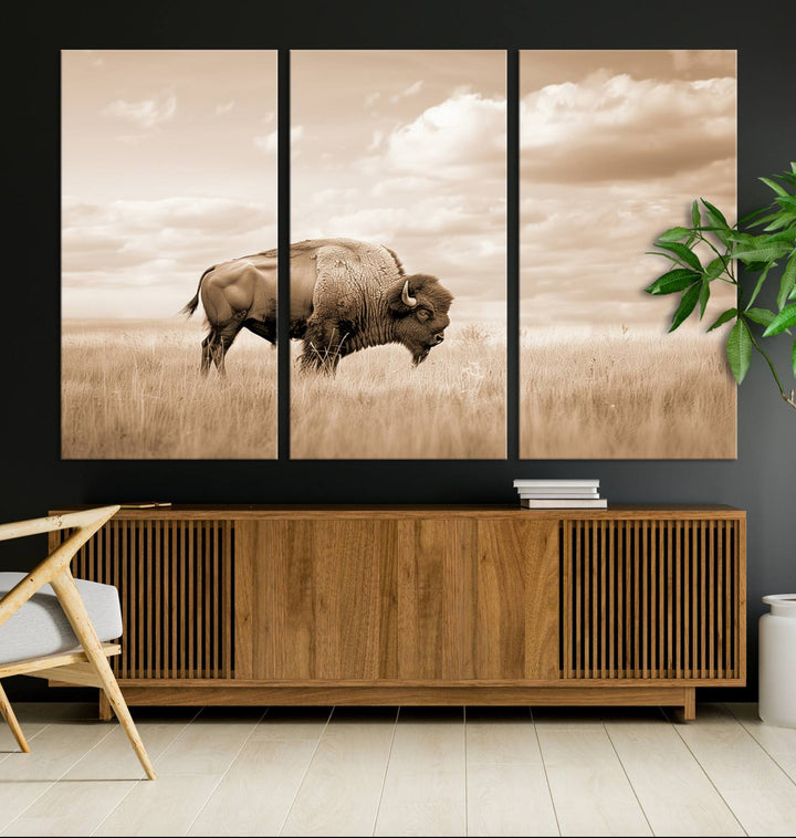 Sepia American Bison Wall Art Print for Farmhouse Wall Decor, Western Canvas Print