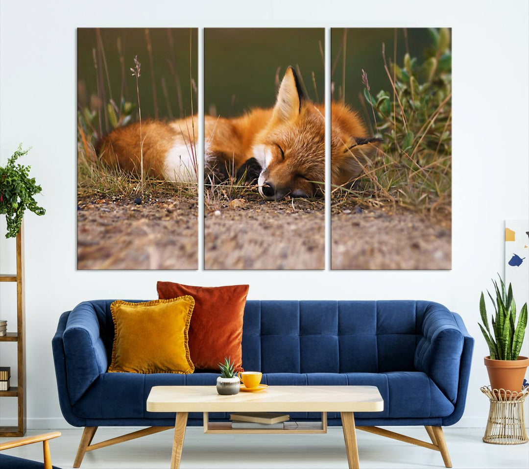 Sleeping Fox Wall Art Canvas Print, Animal Wall Art