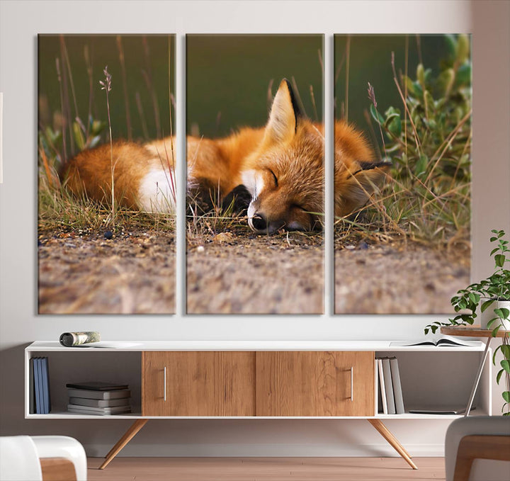 Sleeping Fox Wall Art Canvas Print, Animal Wall Art