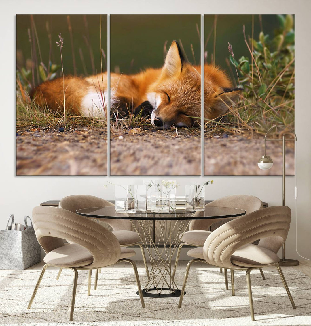 Sleeping Fox Wall Art Canvas Print, Animal Wall Art