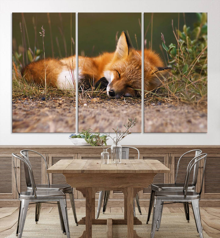 Sleeping Fox Wall Art Canvas Print, Animal Wall Art