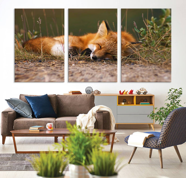 Sleeping Fox Wall Art Canvas Print, Animal Wall Art