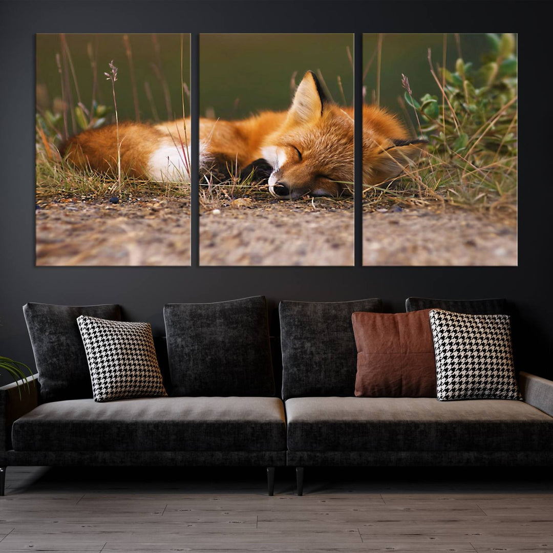 Sleeping Fox Wall Art Canvas Print, Animal Wall Art