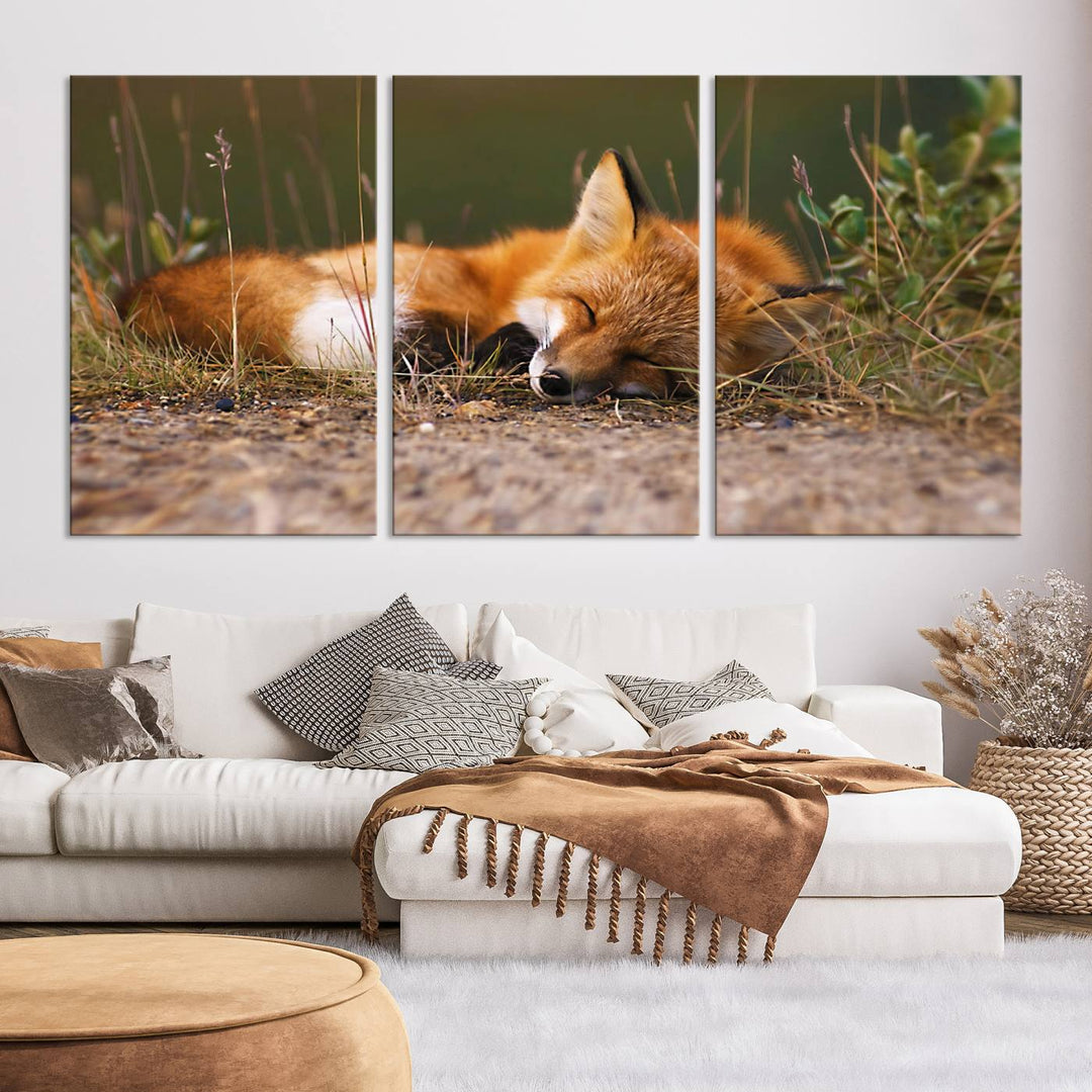 Sleeping Fox Wall Art Canvas Print, Animal Wall Art