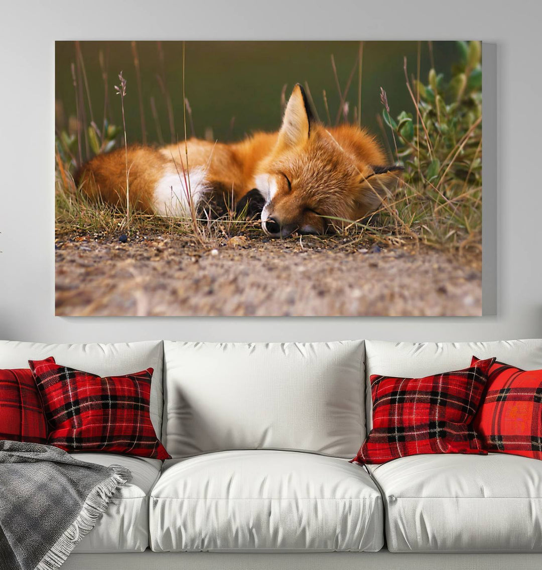 Sleeping Fox Wall Art Canvas Print, Animal Wall Art