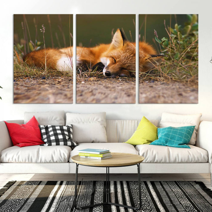 Sleeping Fox Wall Art Canvas Print, Animal Wall Art