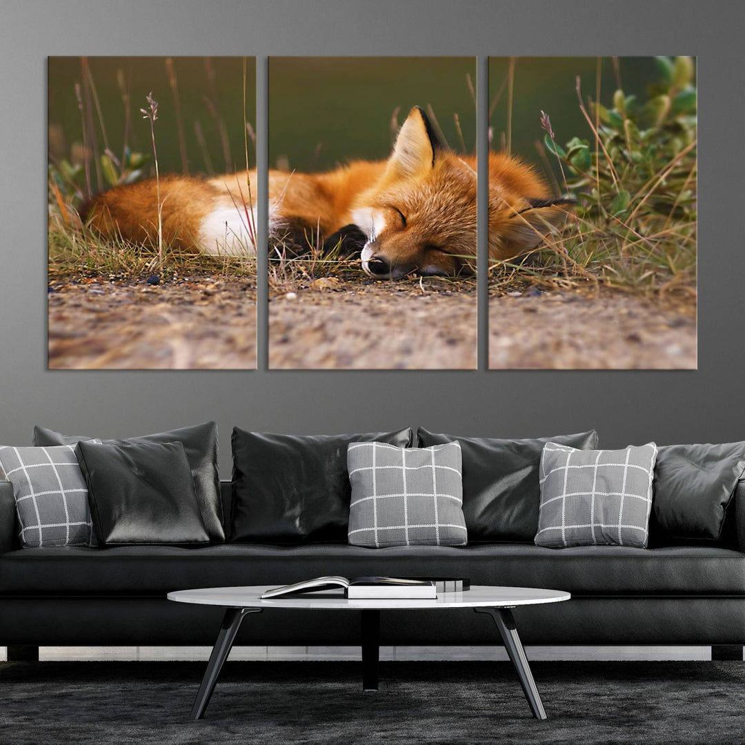 Sleeping Fox Wall Art Canvas Print, Animal Wall Art