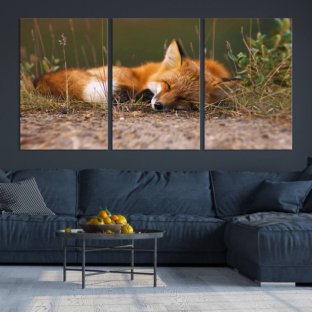 Sleeping Fox Wall Art Canvas Print, Animal Wall Art