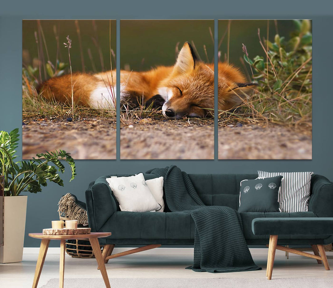 Sleeping Fox Wall Art Canvas Print, Animal Wall Art