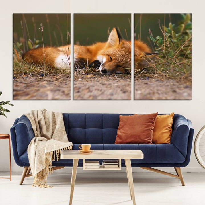 Sleeping Fox Wall Art Canvas Print, Animal Wall Art