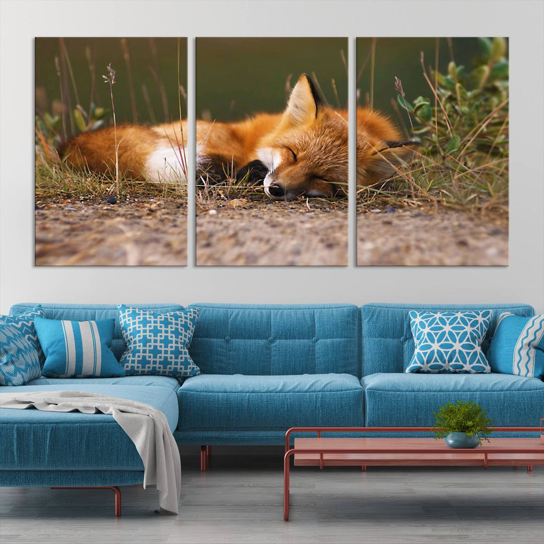 Sleeping Fox Wall Art Canvas Print, Animal Wall Art