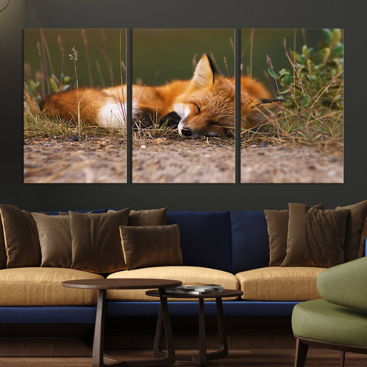 Sleeping Fox Wall Art Canvas Print, Animal Wall Art