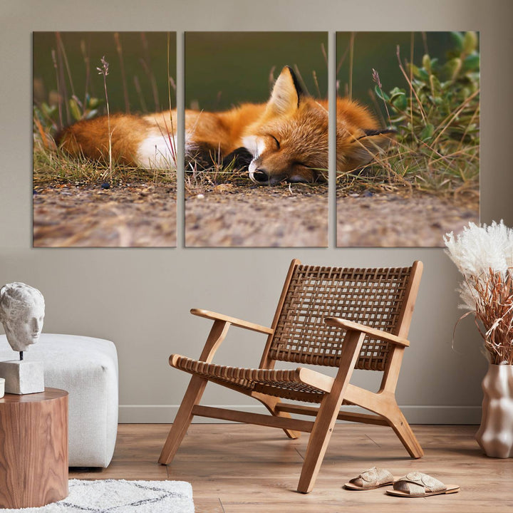 Sleeping Fox Wall Art Canvas Print, Animal Wall Art