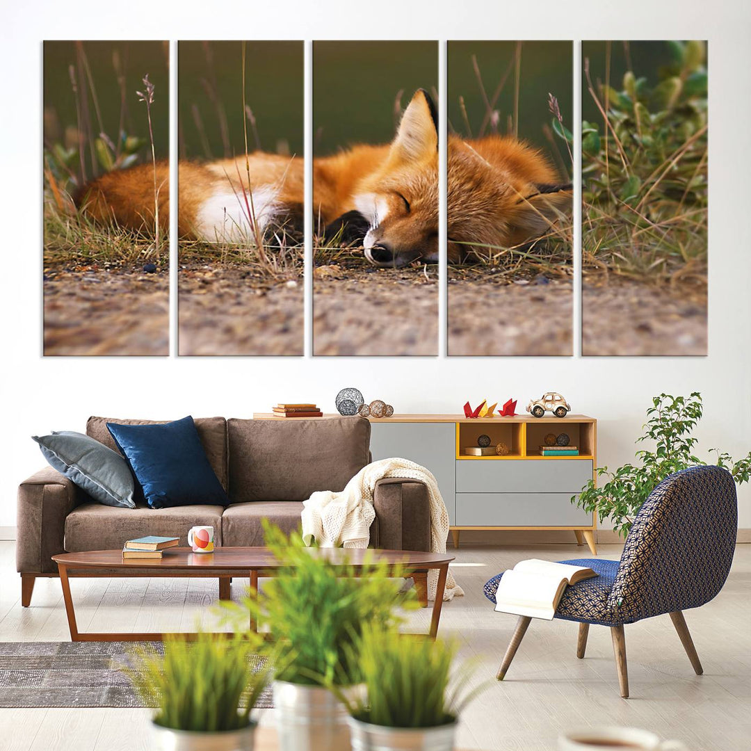 Sleeping Fox Wall Art Canvas Print, Animal Wall Art