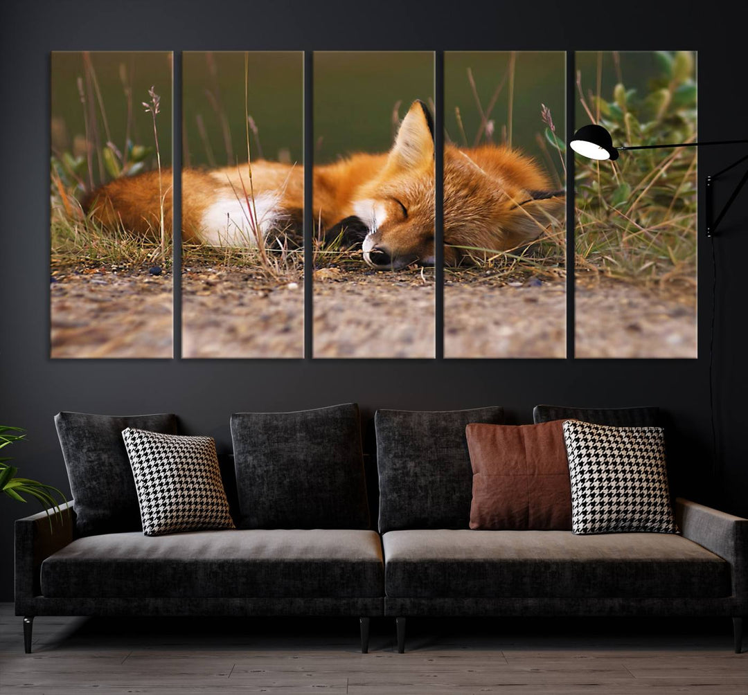 Sleeping Fox Wall Art Canvas Print, Animal Wall Art