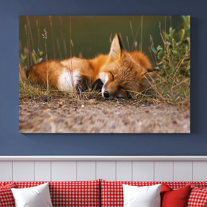 Sleeping Fox Wall Art Canvas Print, Animal Wall Art