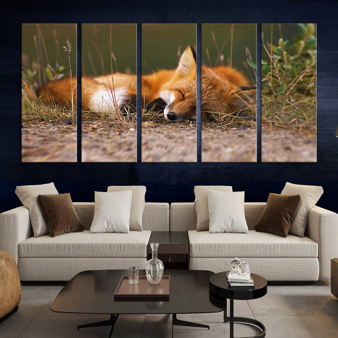 Sleeping Fox Wall Art Canvas Print, Animal Wall Art