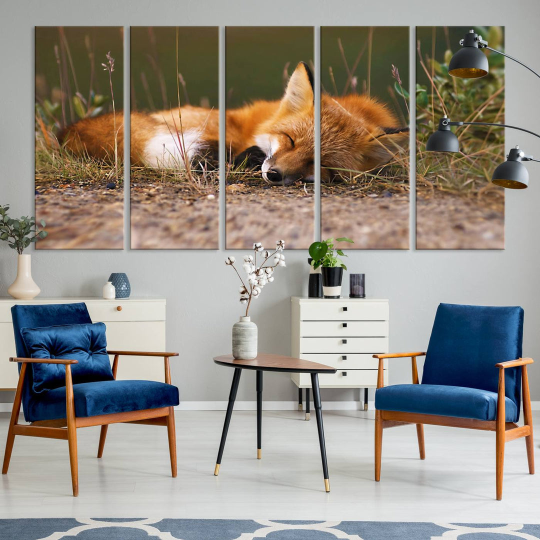 Sleeping Fox Wall Art Canvas Print, Animal Wall Art