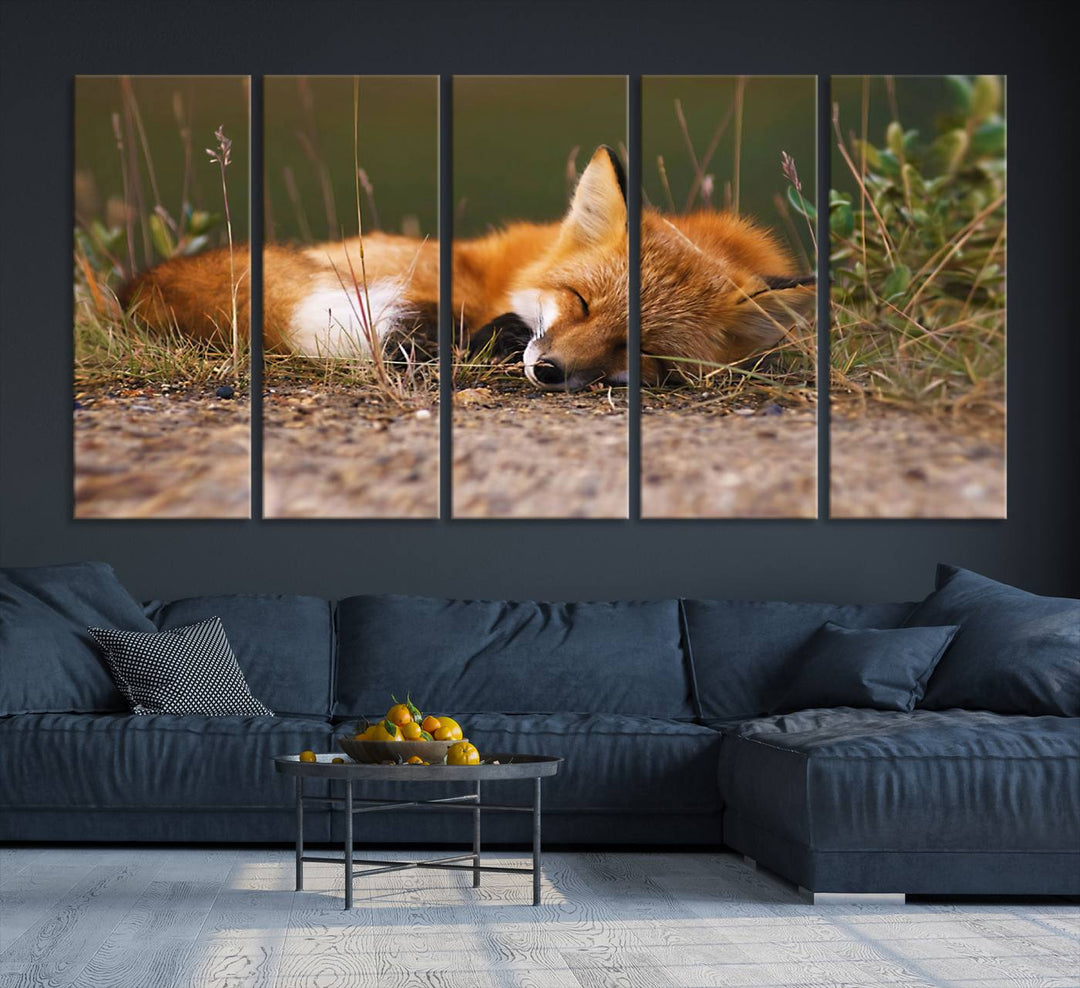 Sleeping Fox Wall Art Canvas Print, Animal Wall Art