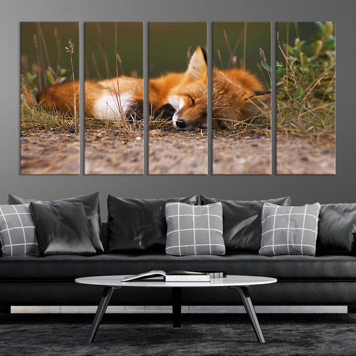 Sleeping Fox Wall Art Canvas Print, Animal Wall Art