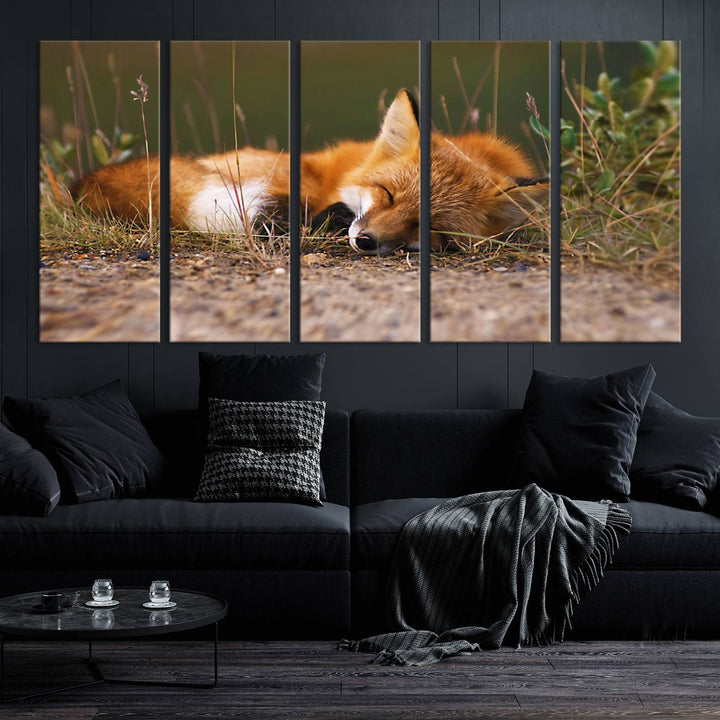 Sleeping Fox Wall Art Canvas Print, Animal Wall Art