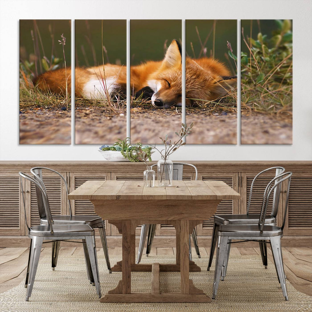 Sleeping Fox Wall Art Canvas Print, Animal Wall Art