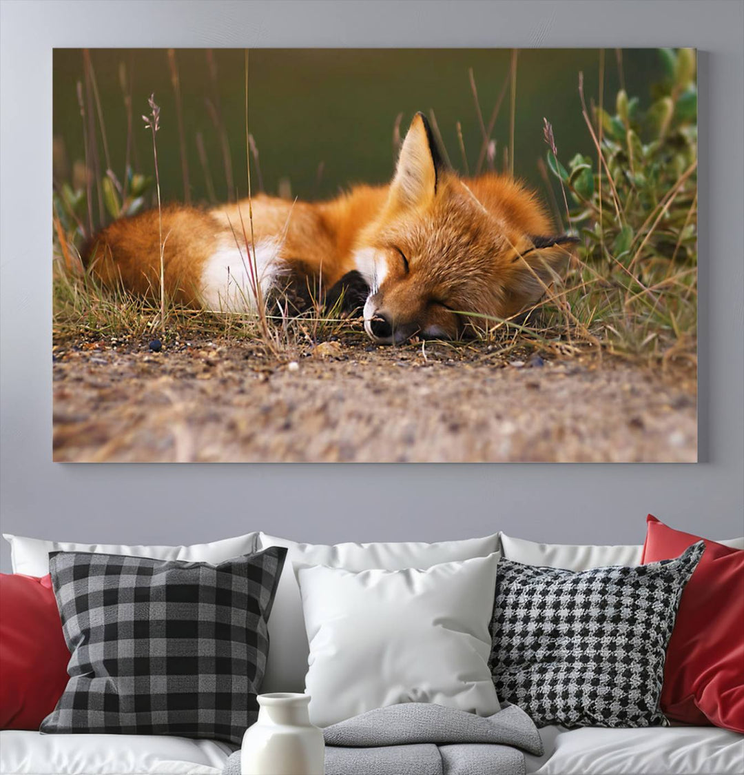 Sleeping Fox Wall Art Canvas Print, Animal Wall Art