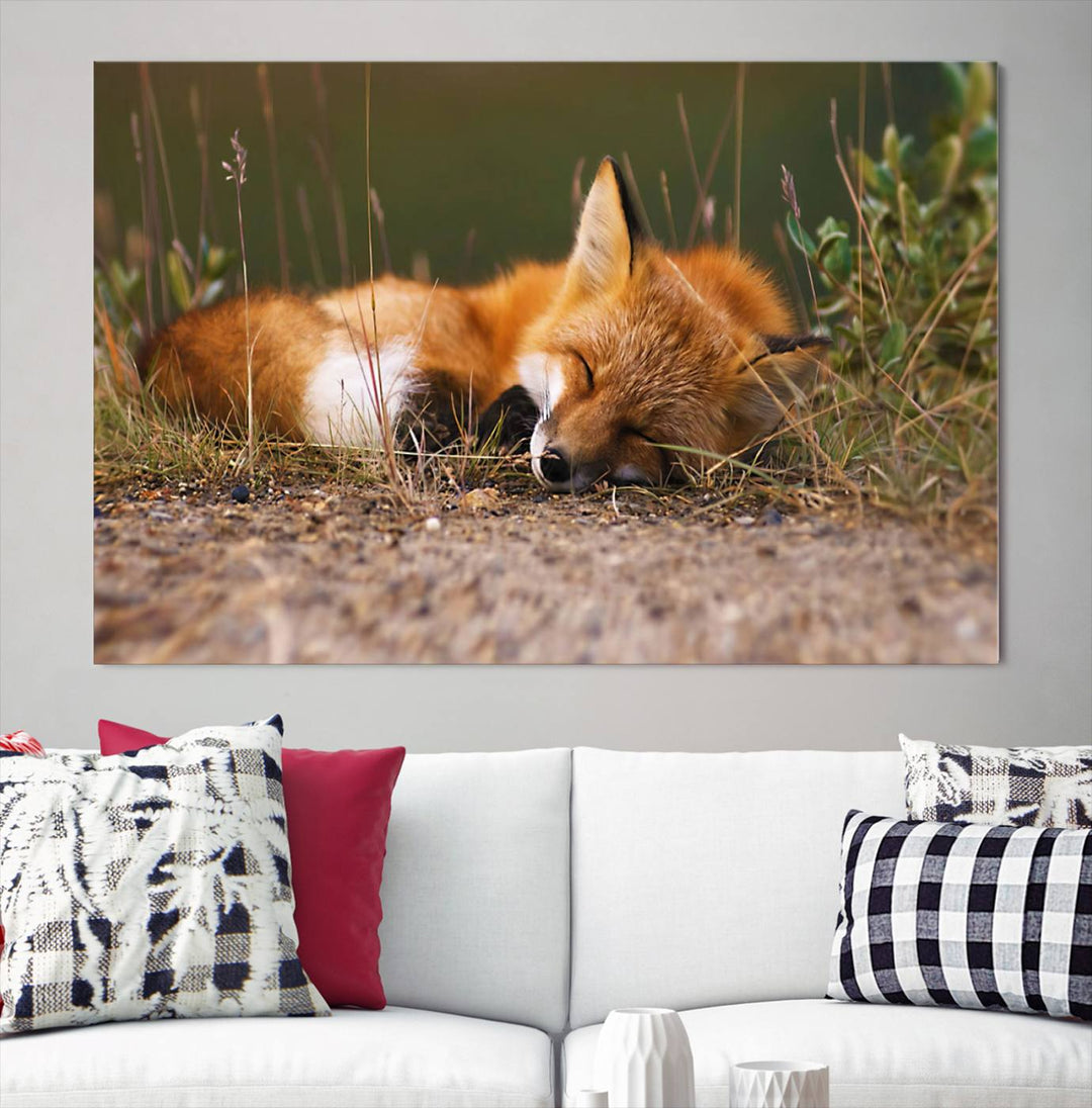 Sleeping Fox Wall Art Canvas Print, Animal Wall Art