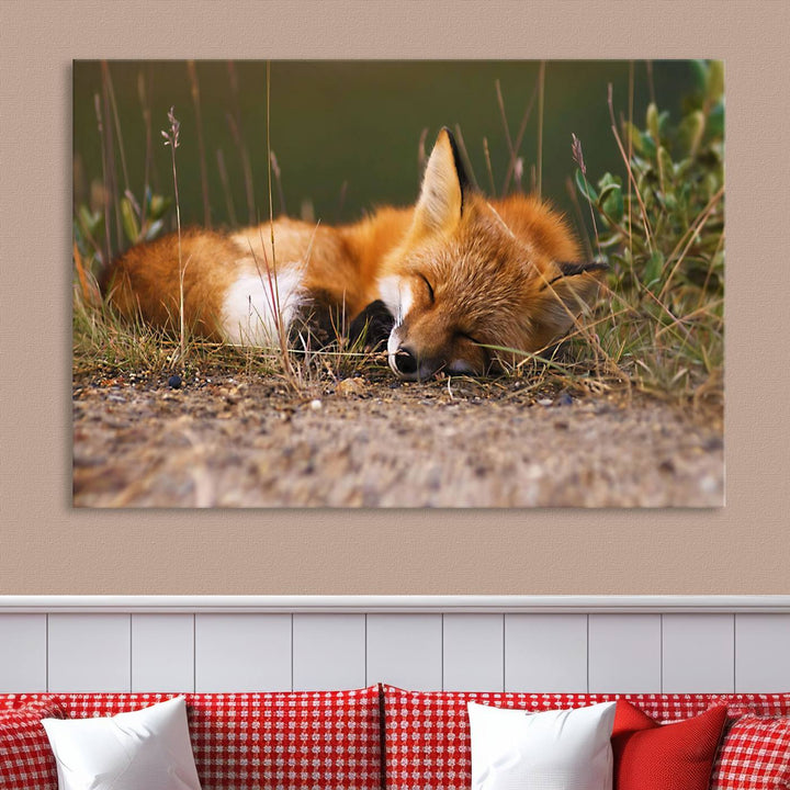 Sleeping Fox Wall Art Canvas Print, Animal Wall Art