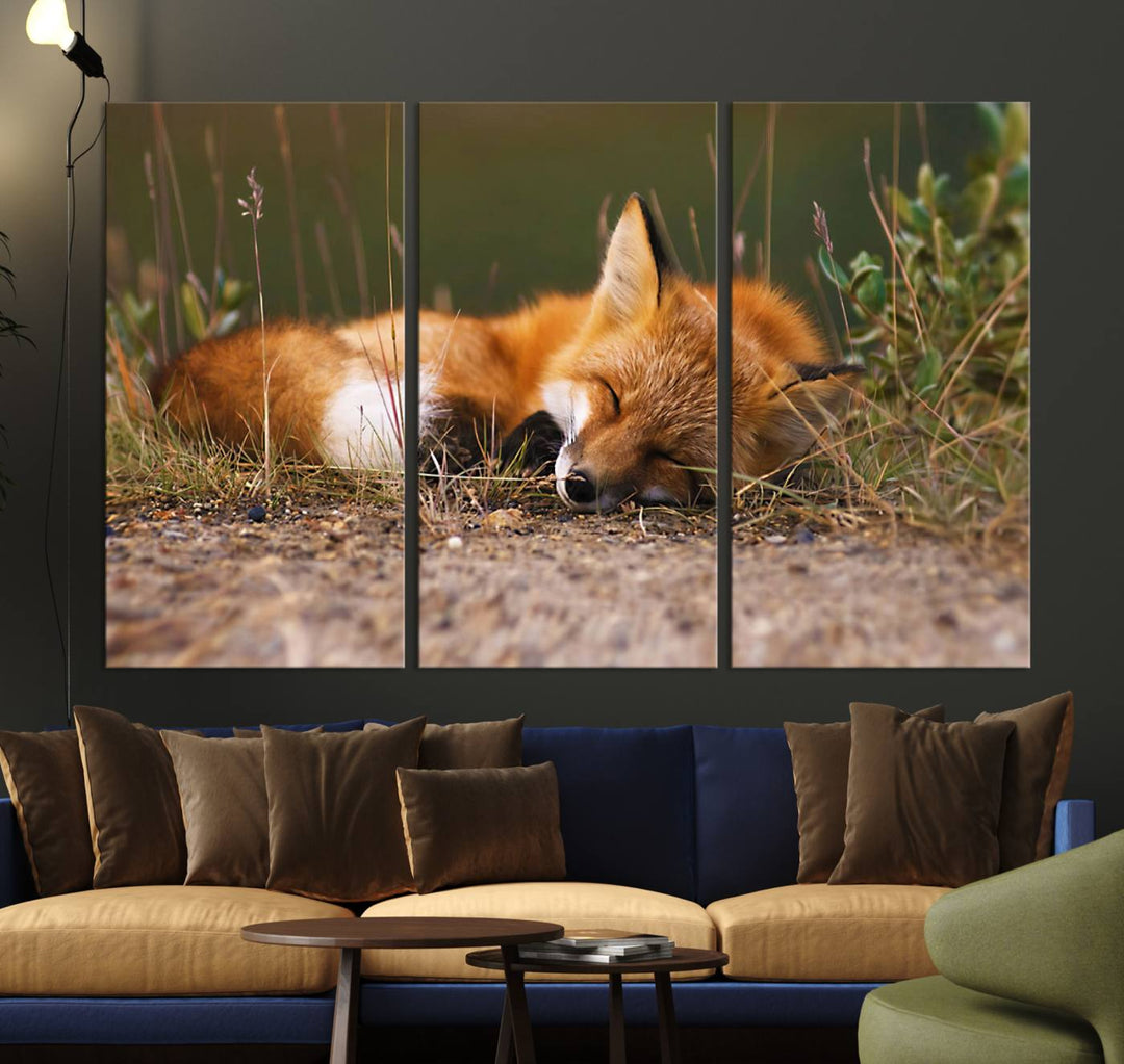 Sleeping Fox Wall Art Canvas Print, Animal Wall Art