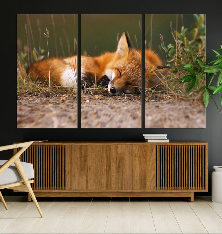 Sleeping Fox Wall Art Canvas Print, Animal Wall Art