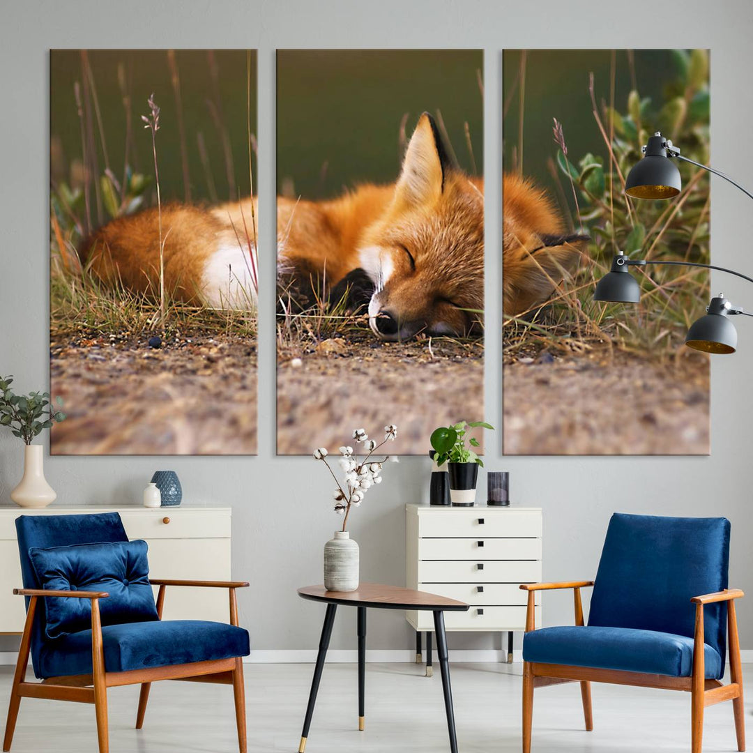 Sleeping Fox Wall Art Canvas Print, Animal Wall Art