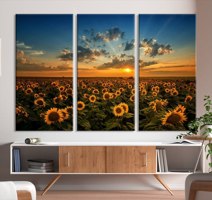 Sunflower Field and Sunset Large Wall Art Canvas Print for Living Room Decor