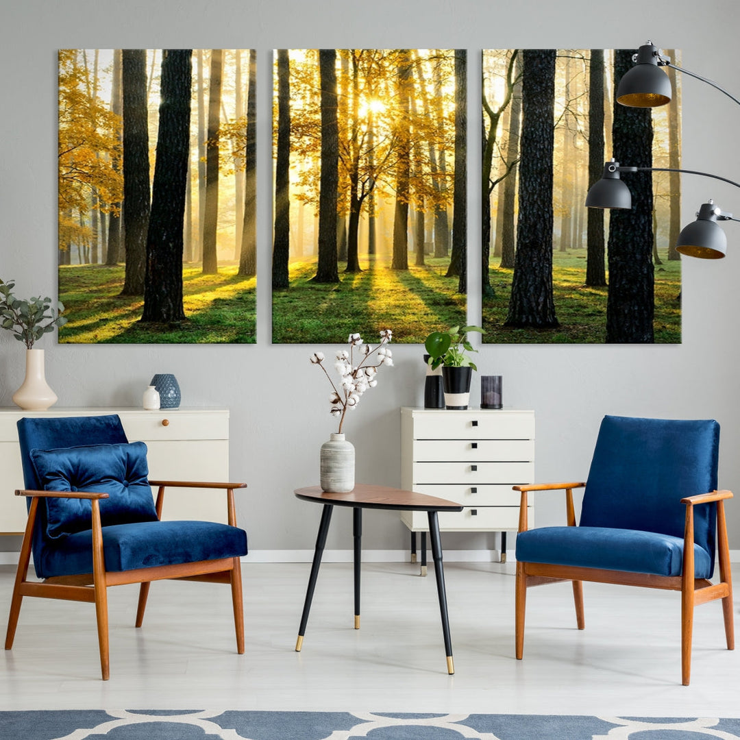 Bring the Sunshine & Beauty of a Forest with Large Trees to Your Home with Our Landscape Wall Art Canvas Print