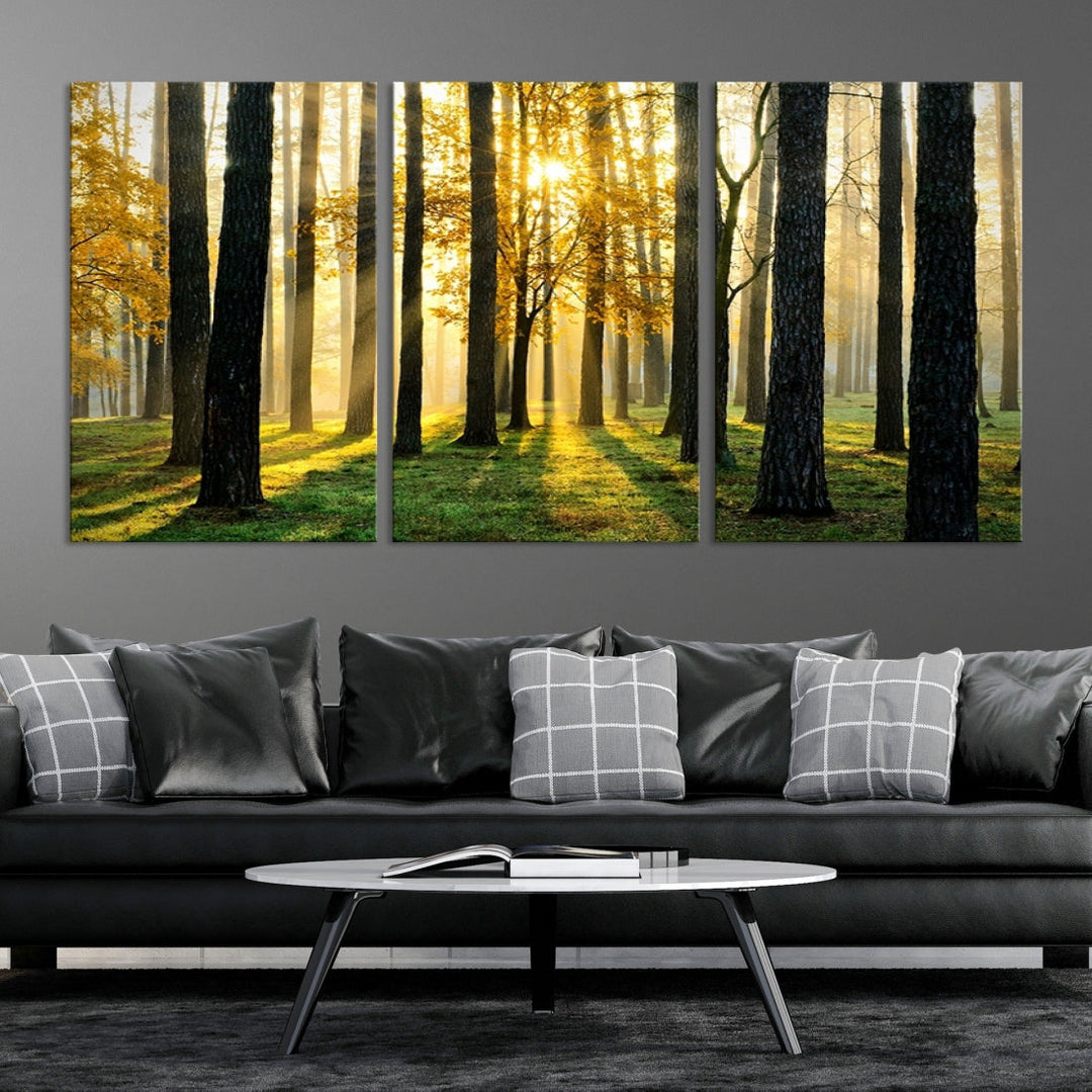 Bring the Sunshine & Beauty of a Forest with Large Trees to Your Home with Our Landscape Wall Art Canvas Print